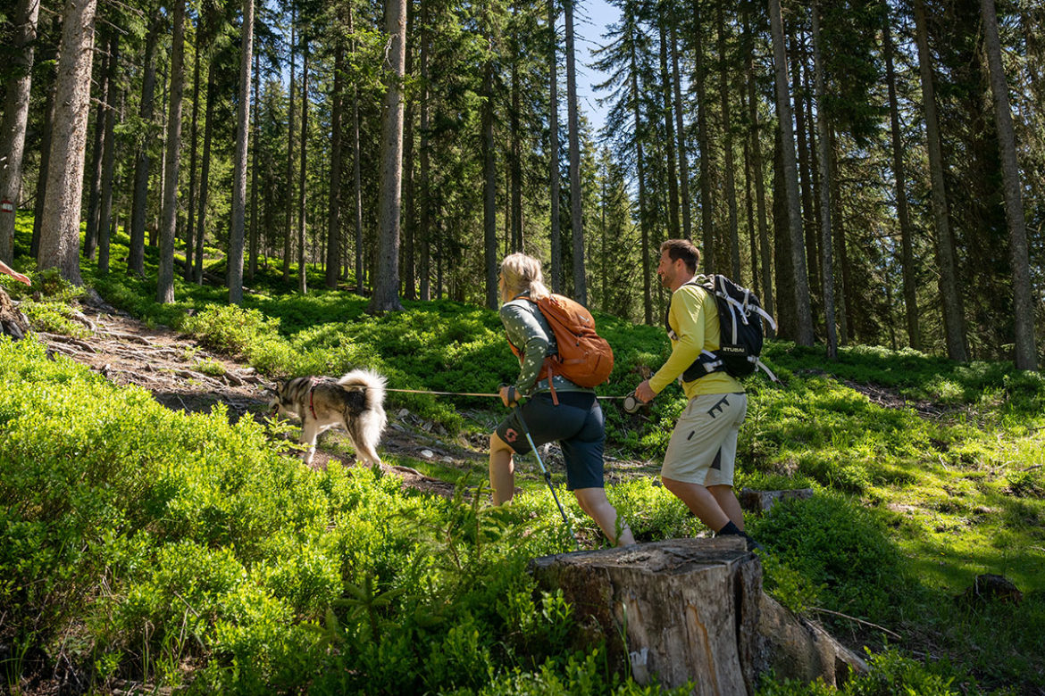 Urlaub mit Hund im Landhaus Wolfgang in Radstadt, Salzburger Land
